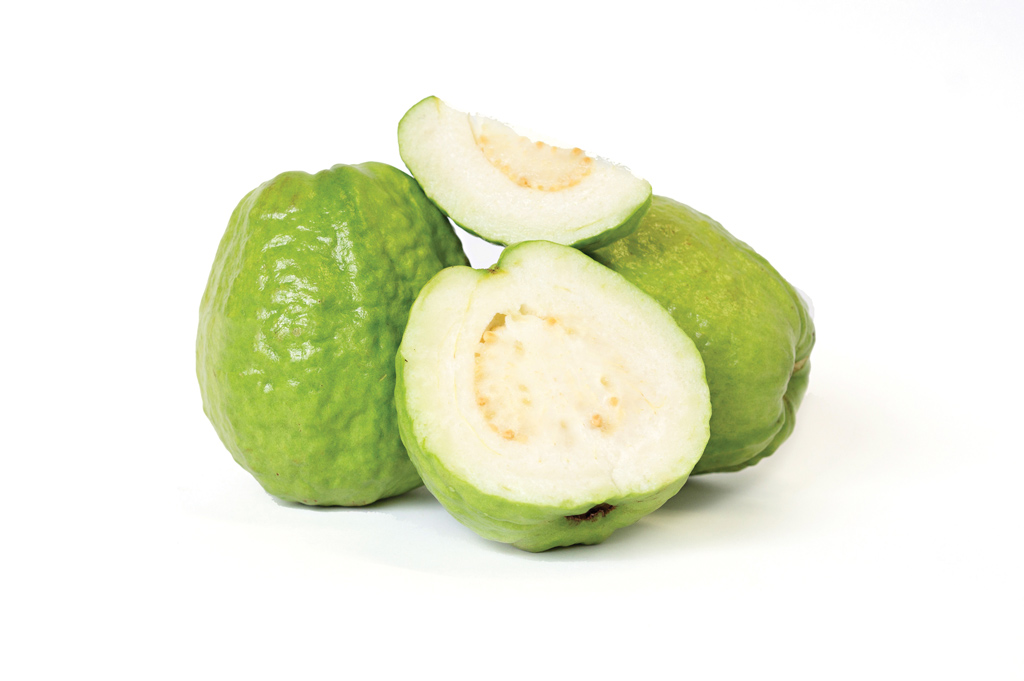 Asian-Guava-3-copy