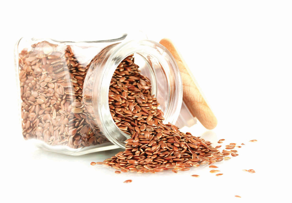 flax-seed-3