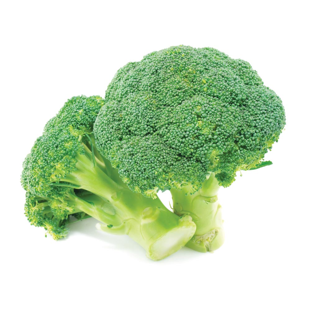 Broccoli-11