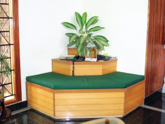 corner-plant