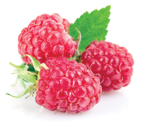 Raspberry