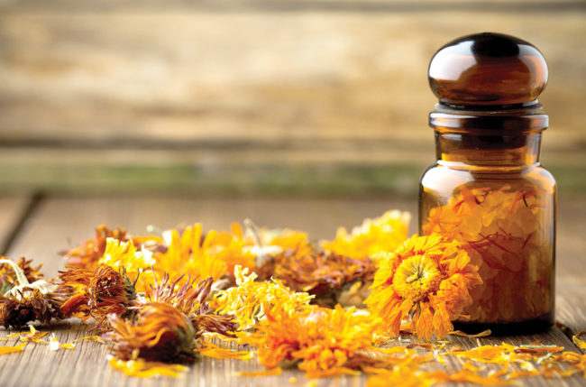 Marigold-Rakhe-Aging-Door