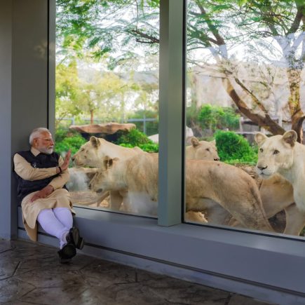 NARENDRA MODI (3)