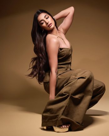 Pooja hegde (2)