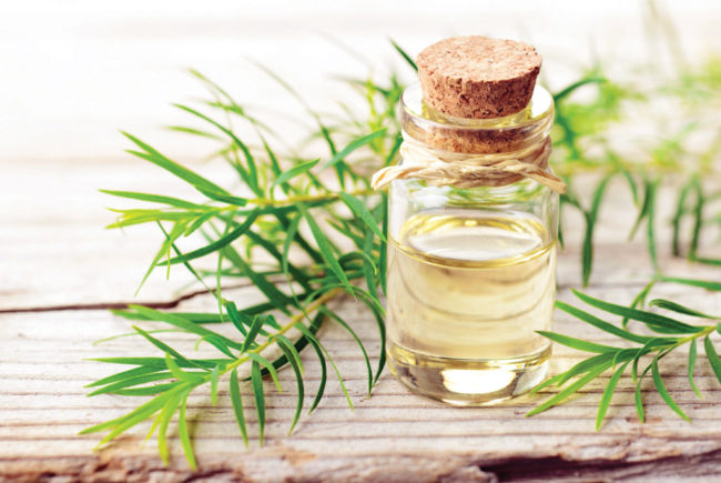 Tea-Tree-Oil