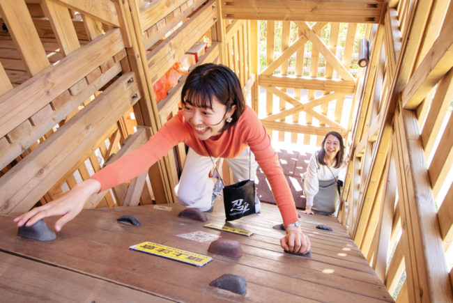 20240924-naruto-autumn-1