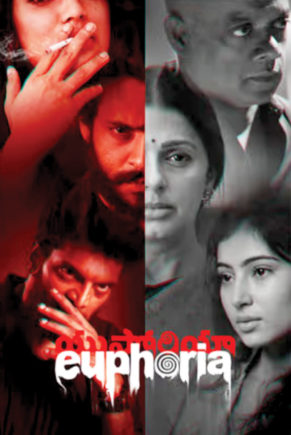 6_Telugu-film-'Euphoria'