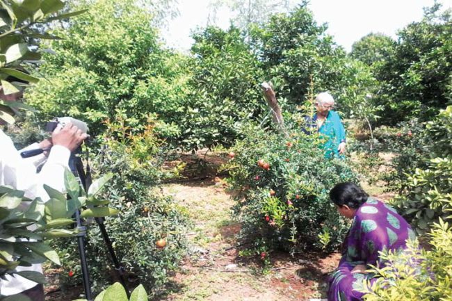 ಬರಡು ಭೂಮಿಯಲ್ಲಿ ಶ್ರೀಗಂಧ ಬೆಳೆದ ಸಾಧಕಿ – ಕವಿತಾ ಮಿಶ್ರಾ
