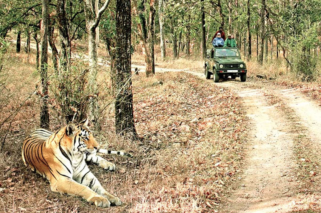 bandhavgarh