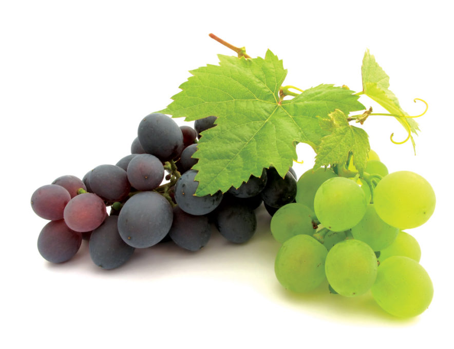 grapes