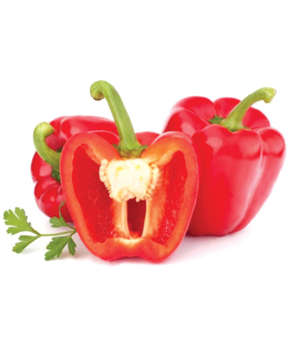 Red-Capsicum-Seeds-Shimla-Mirch-SDL334816687-3-f01ac