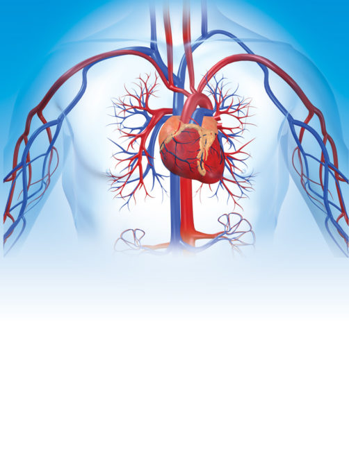 Aortic-Stenosis