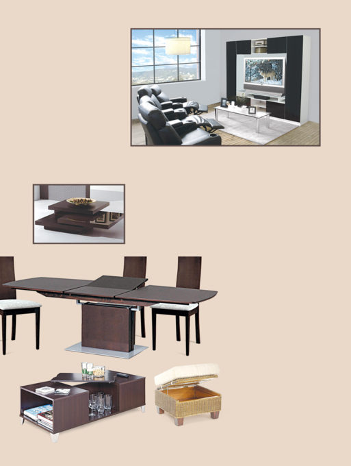 fueniture