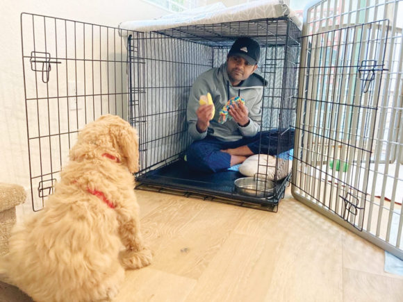 ಚಾರ್ಲಿ ಮನೆಗೆ ಬಂದಾಗ…….