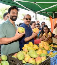 ಗರುಡ ಮಾಲ್ ನಲ್ಲಿ ಮಾವು ಹಾಗೂ ಪುಸ್ತಕ ಮೇಳಕ್ಕೆ ಡಾಲಿ ಧನಂಜಯ್ ಚಾಲನೆ