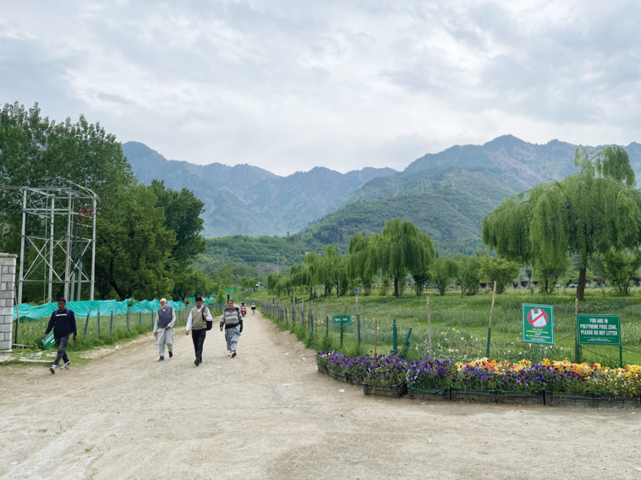 garden-(2)