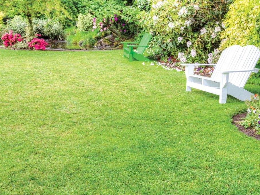 LAWN