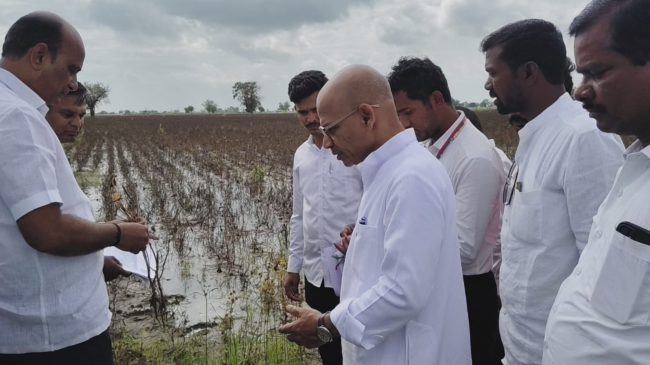 ಬೆಳೆ ಹಾನಿ ವೀಕ್ಷಿಸಿದ ಸಚಿವ ಡಾ.ಶರಣಪ್ರಕಾಶ ಪಾಟೀಲ