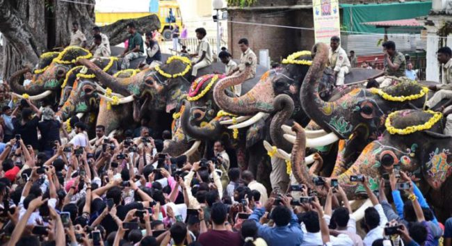 ನಾಡಿನಿಂದ ಕಾಡಿನತ್ತ ಮರಳಿದ ಗಜಪಡೆ