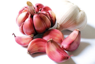 ಫಂಗಲ್ ಇನ್‌ ಫೆಕ್ಷನ್‌ ಗೆ ಮನೆಮದ್ದು