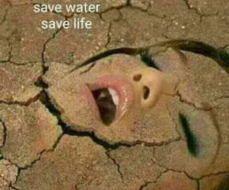 ಅಕ್ಷಯ ತೃತೀಯ/ತದಿಗೆ