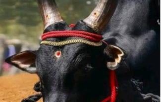 ಅರ್ಥ ಪೂರ್ಣ ಬಸವ ಜಯಂತಿಯ ಆಚರಣೆ