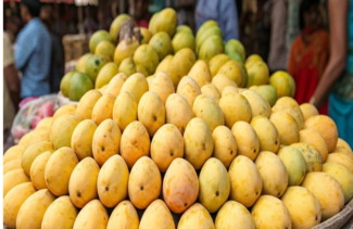 ಕಬ್ಬನ್​ ಪಾರ್ಕ್​ – ಲಾಲ್​ಬಾಗ್​ನಲ್ಲಿ ಮಾವು-ಹಲಸು ಮೇಳ
