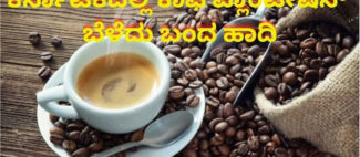ಕರ್ನಾಟಕದಲ್ಲಿ ಕಾಫಿ ಪ್ಲಾಂಟೇಷನ್ ಬೆಳೆದು ಬಂದ ಹಾದಿ
