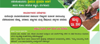 ತಾರಸಿ ತೋಟ ಕಾರ್ಯಾಗಾರ