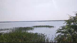 ಭೂತನಾಳ ಕೆರೆಯಲ್ಲಿ ಆರು ಮೃತದೇಹಗಳು ಪತ್ತೆ   