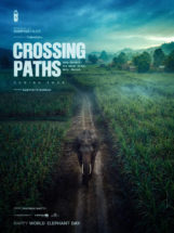 *ಕ್ರಾಸಿಂಗ್ ಪಾತ್ಸ್ (CROSSING PATHS): ಮಾನವ-ಆನೆ ಸಂಘರ್ಷದ ಕುರಿತಾದ ಸಾಕ್ಷ್ಯಚಿತ್ರಕ್ಕೆ ಸಂಯುಕ್ತಾ ಹೊರನಾಡು ನಿರ್ದೇಶನ…. 