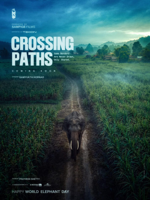 crossing 1
