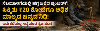 ಪ್ಲಂಬರ್‌ಗೆ ಸಿಕ್ಕಿತು ₹20 ಕೋಟಿಗೂ ಅಧಿಕ ಮೌಲ್ಯದ ಚಿನ್ನದ ನಿಧಿ! – ಇದು ಸಿನಿಮಾ ಕಥೆಯಲ್ಲ, ನೈಜ ಘಟನೆ