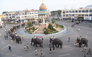 ಆನೆಗಳ ಪಥ ಸಂಚಲನ: ಬನ್ನಿಮಂಟಪ‌ದವರೆಗೆ ತಾಲೀಮು