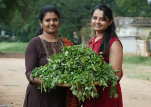 ರಾಗಿಕಣದಲ್ಲಿ ಸೊಪ್ಪು ಮೇಳ ಸಂಭ್ರಮ